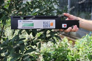 葉面積測量儀YMJ-B