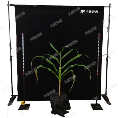 玉米株型分析系統(tǒng)