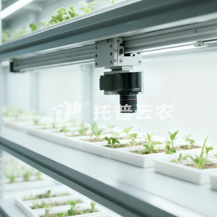 人工氣候室植物表型監(jiān)測系統(tǒng) TP-PlantR